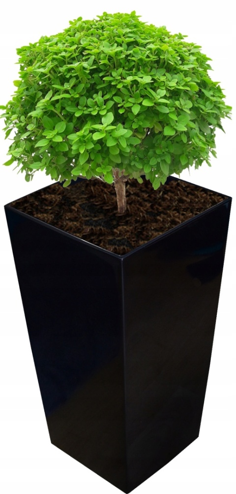 DONICZKA FINEZJA 30cm CZARNY