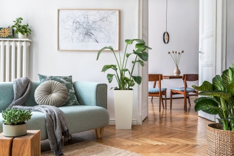 DONICZKA FINEZJA 30cm CZARNY