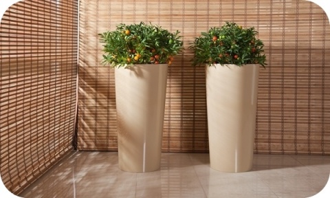 DONICZKA LILIA 30cm OKRĄGŁA L CZARNY