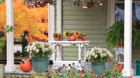 Donica Egg Rib Moss Zielona D50H45