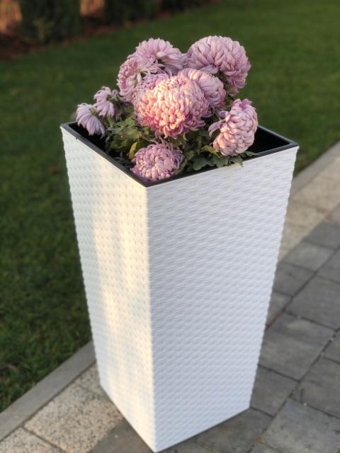 Doniczka FINEZJA 350x350 rattan biały 05