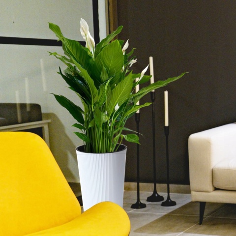 Doniczka LILIA 250 jumper - biały LA864-05