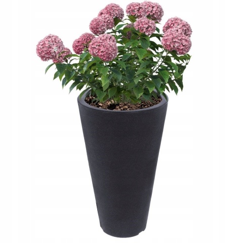 FLOWERPOT CAPRI ROUND 2