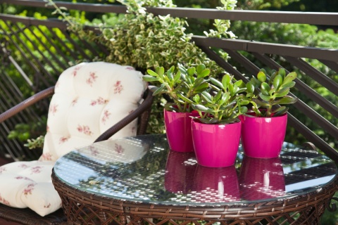 LA205 Osłonka-Doniczka MAGNOLIA 250mm /biały