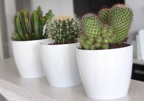 LA205 Osłonka-Doniczka MAGNOLIA 250mm /biały