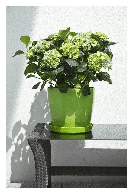 LA206 Osłonka-Doniczka MAGNOLIA 300mm /cappuccino