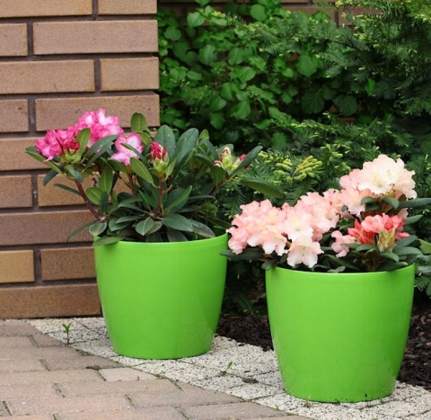 LA206 Osłonka-Doniczka MAGNOLIA 300mm /cappuccino