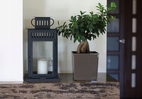 LA552 Doniczka juka 250x250/ biały