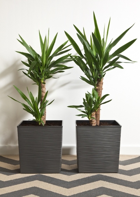 LA598 doniczka juka dłuto 190x190/ biały