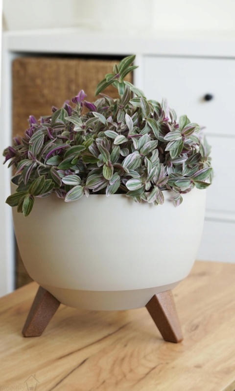 Misa ROMA 400 - biały LA881-05