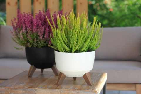 Misa ROMA 400 - biały LA881-05