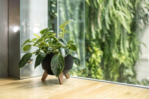 Misa ROMA 400 - biały LA881-05