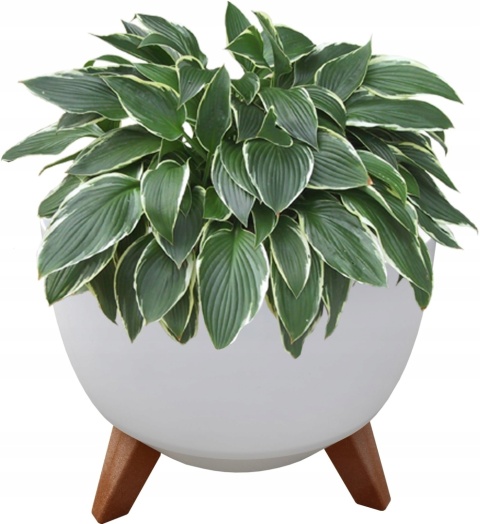 Misa ROMA 470 - biały LA882-05