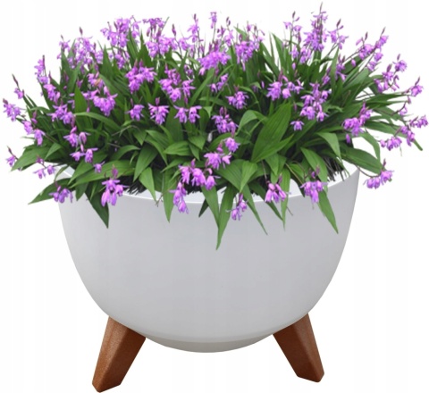 Misa ROMA 470 - biały LA882-05