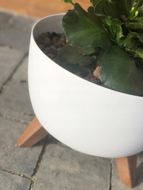 Misa ROMA 470 - biały LA882-05