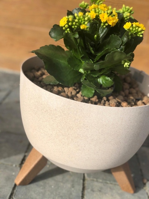 Misa ROMA ECO 290 - biały LA920-05