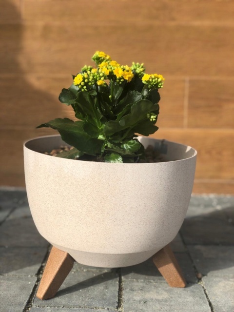 Misa ROMA ECO 290 - biały LA920-05