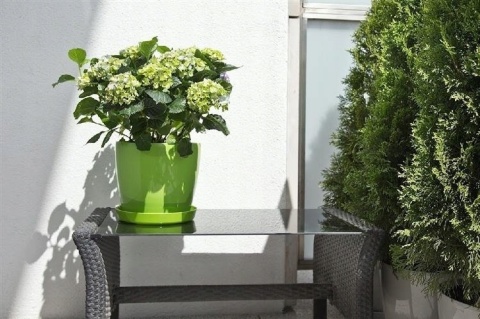 OSŁONKA MAGNOLIA 21cm BIAŁA