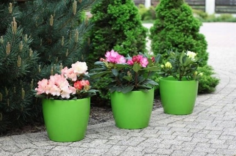 OSŁONKA MAGNOLIA 21cm BIAŁA