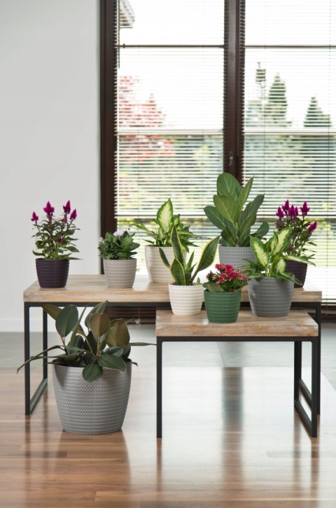 Osłonka MAGNOLIA JERSEY 220 - antra 27343