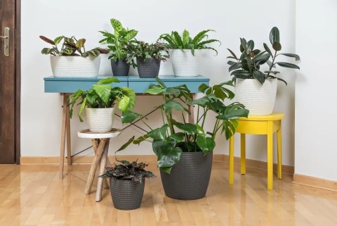 Osłonka MAGNOLIA JERSEY 300mm biały 05