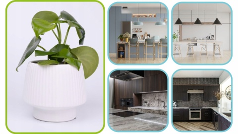 Osłonka ceramiczna BIAŁY GRZYBEK