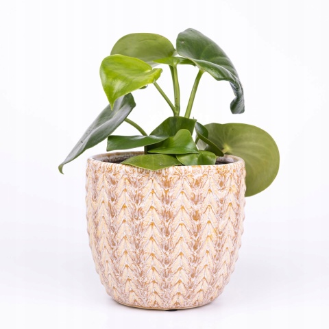 Osłonka ceramiczna CREAM