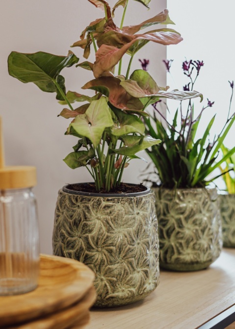 Osłonka ceramiczna IVY L 17x17.5cm