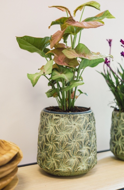 Osłonka ceramiczna IVY L 17x17.5cm