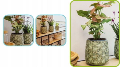 Osłonka ceramiczna IVY L 17x17.5cm