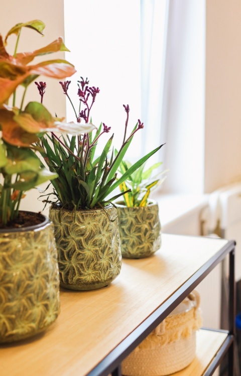 Osłonka ceramiczna IVY M 14.5×15.5cm