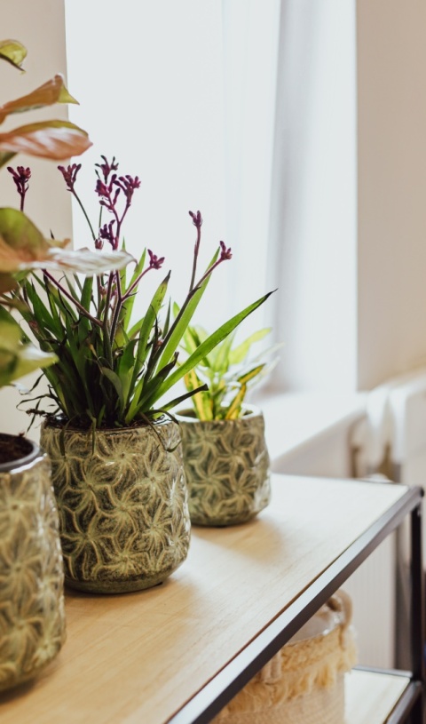 Osłonka ceramiczna IVY M 14.5×15.5cm