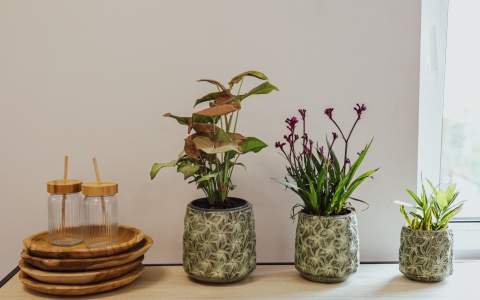 Osłonka ceramiczna IVY S 12×12cm