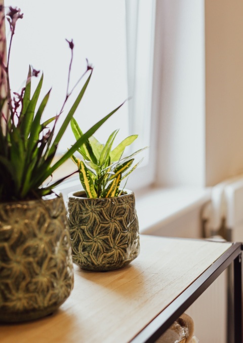 Osłonka ceramiczna IVY S 12×12cm