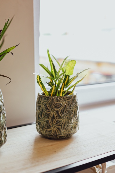 Osłonka ceramiczna IVY S 12×12cm