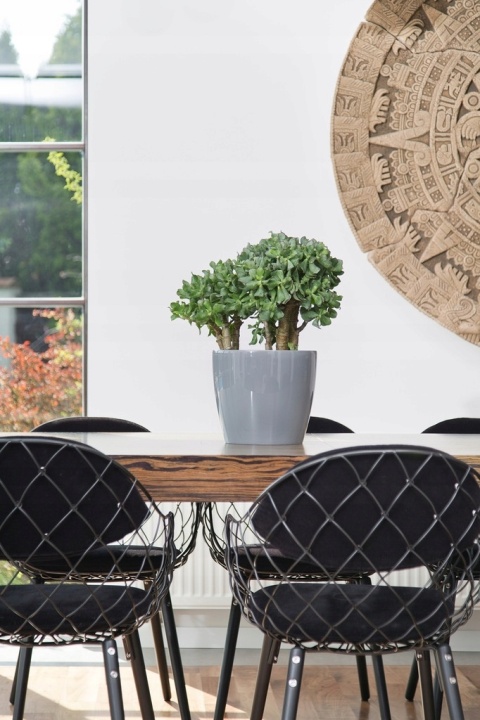 Oslonka-doniczka MAGNOLIA 210 mm -