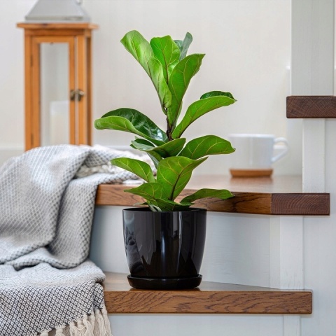 Oslonka-doniczka MAGNOLIA 210 mm -