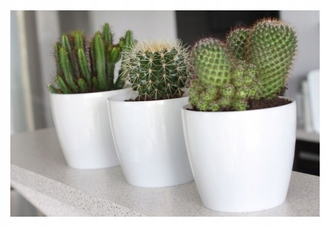 Osłonka- doniczka MAGNOLIA 210mm/ cappuccino