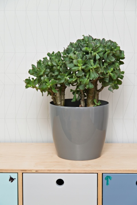 Osłonka-doniczka MAGNOLIA 210mm szary 27