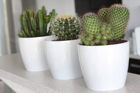 Osłonka-doniczka MAGNOLIA 210mm szary 27