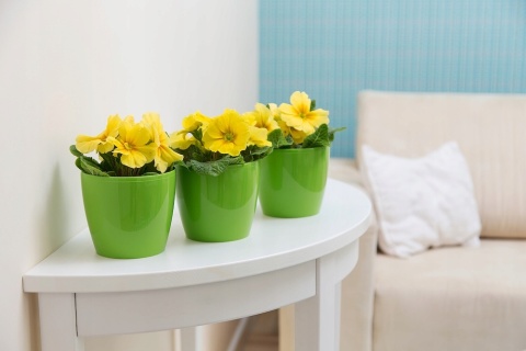 Osłonka-doniczka MAGNOLIA 210mm złoty 52