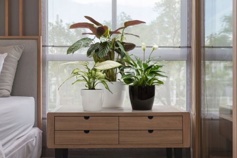 Osłonka-doniczka MAGNOLIA 250 mm - 2