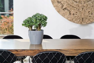 Osłonka-doniczka MAGNOLIA 250mm szary 27