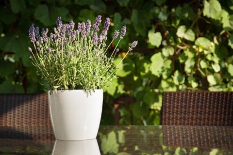 Osłonka-doniczka MAGNOLIA 250mm szary 27