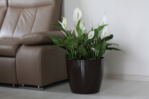 Osłonka-doniczka MAGNOLIA 250mm szary 27