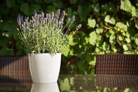 Oslonka-doniczka MAGNOLIA 300 mm -