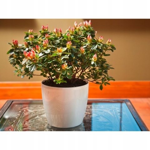 Oslonka-doniczka MAGNOLIA 300 mm -