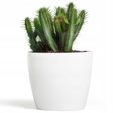 Osłonka-doniczka MAGNOLIA 300mm biały O5