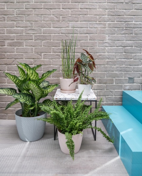 Osłonka-doniczka MAGNOLIA jumper fi 220 - morski