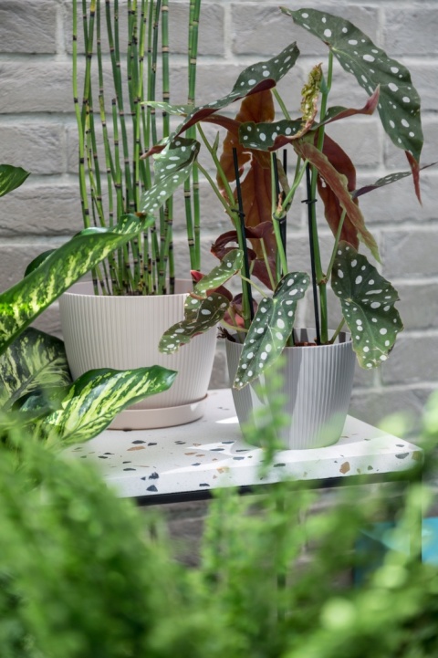 Osłonka-doniczka MAGNOLIA jumper fi 260 - musztardowy